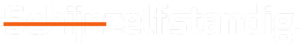 Wet DBA Schijnzelfstandig